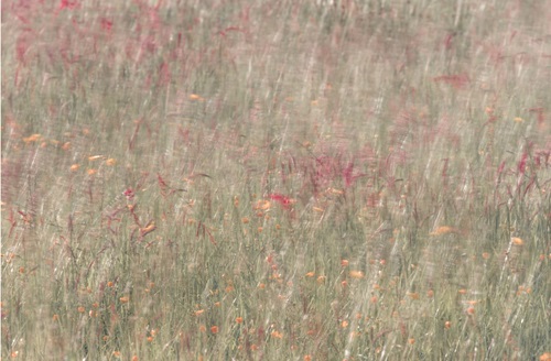   ‘Ethereal’, an Exhibition by Christopher Quinn